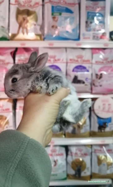 Nihal Pet Shop