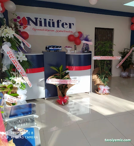 Nilüfer Turizm Bitlis Nilüfer Turizm Bitlis