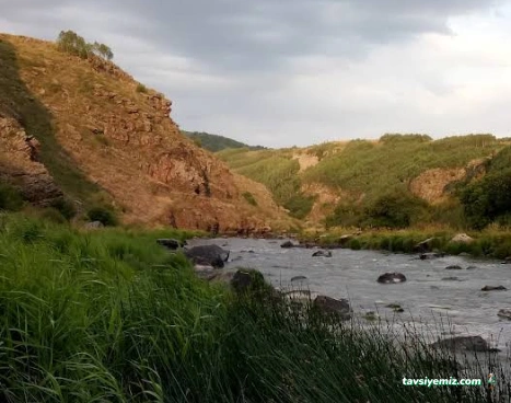 Niyazi Mısri Yurdu
