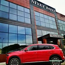 Niyet Boya