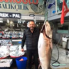 Nizamoğlu Balık Lokantası Nizamoğlu Balık Lokantası