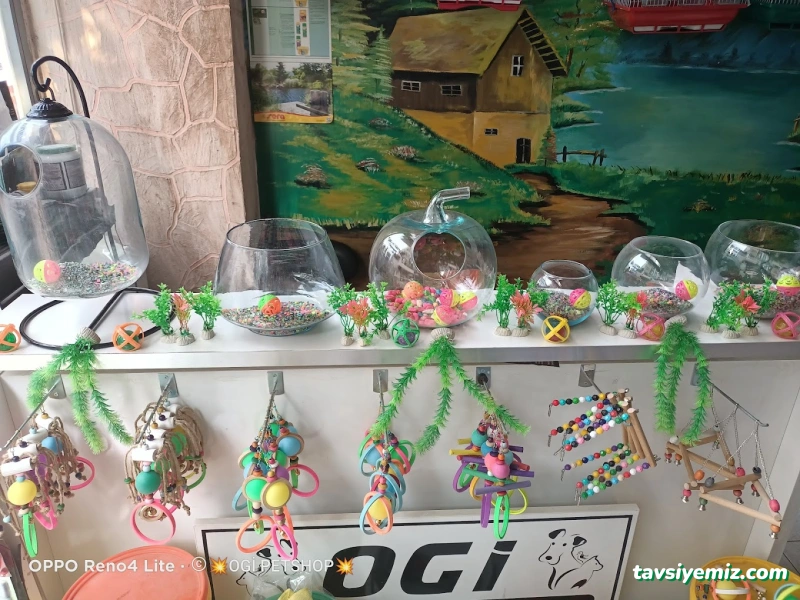 Ogi Petshop & Akvaryum Ogi Petshop & Akvaryum