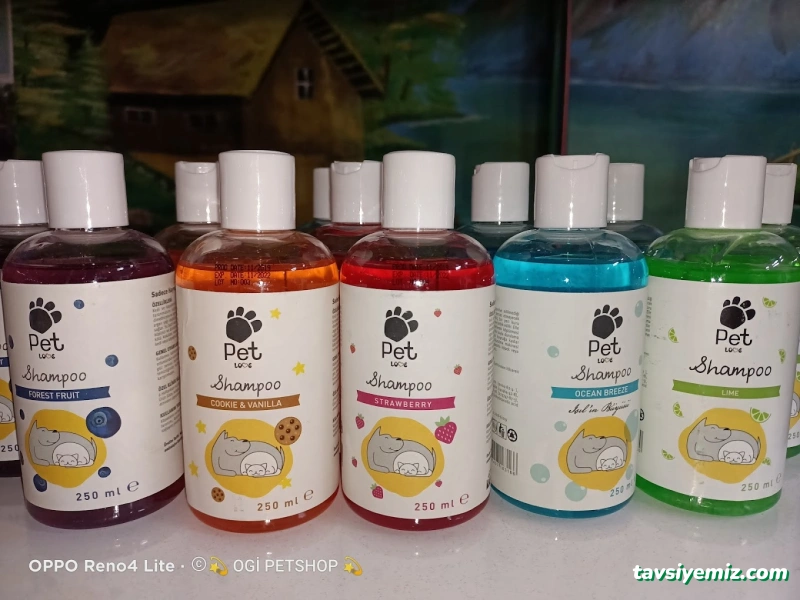 Ogi Petshop & Akvaryum Ogi Petshop & Akvaryum