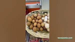 Oğuz Şarküteri Oğuz Şarküteri