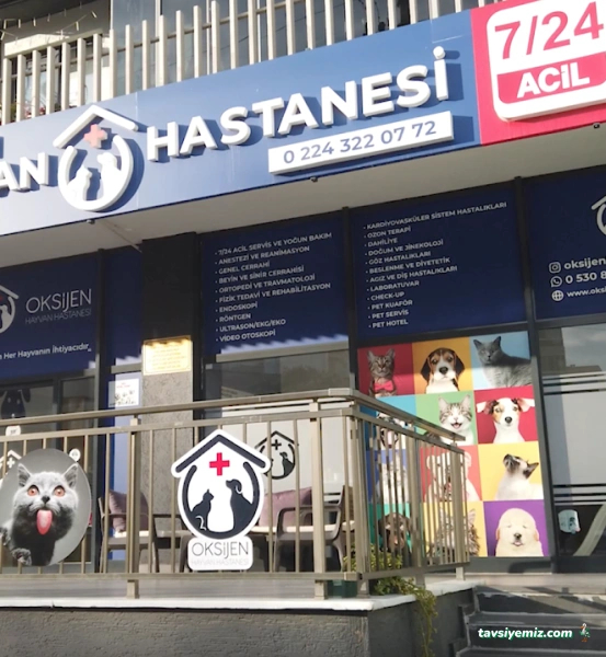 Oksijen Hayvan Hastanesi
