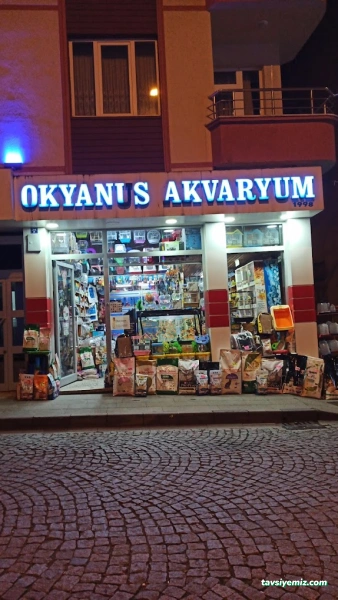 Okyanus Pet Akuaristik Okyanus Pet Akuaristik