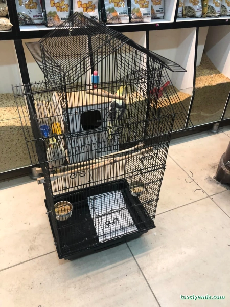 Okyanus Petshop Okyanus Petshop