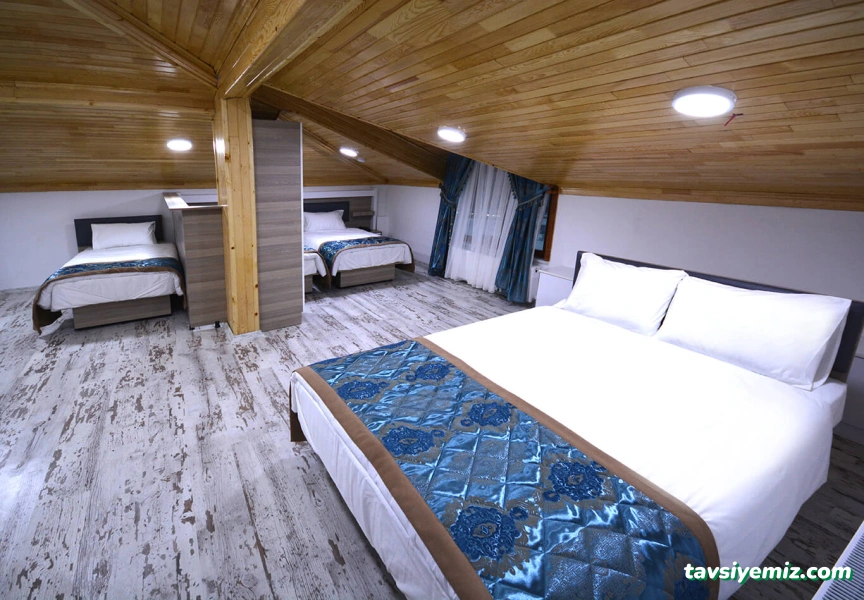 Olgassys Butik Otel