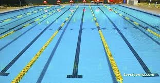 Olimpik Yüzme Havuzu Olimpik Yüzme Havuzu