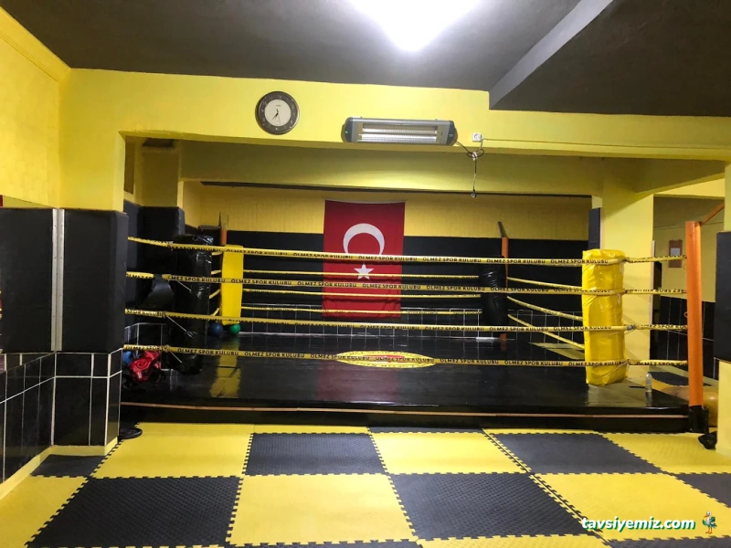 Ölmez Kick Boks Spor Kulübü Ölmez Kick Boks Spor Kulübü