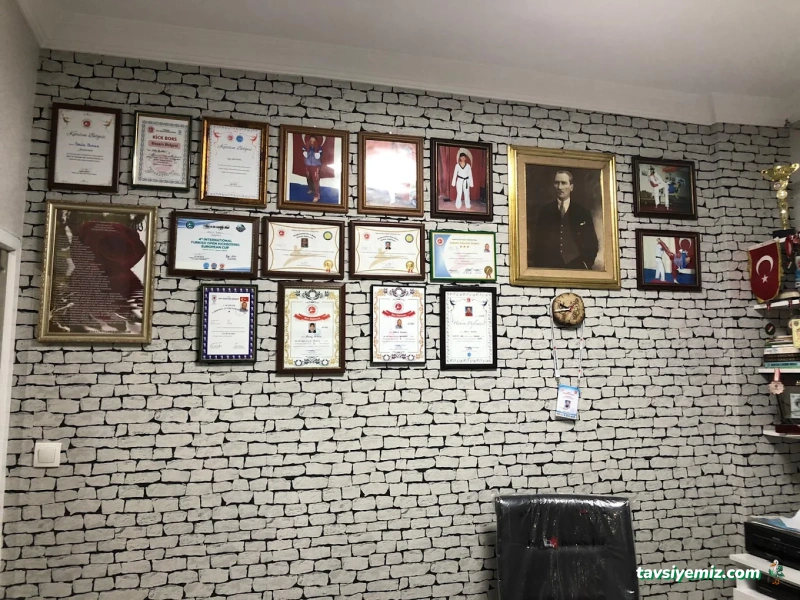 Ölmez Kick Boks Spor Kulübü Ölmez Kick Boks Spor Kulübü