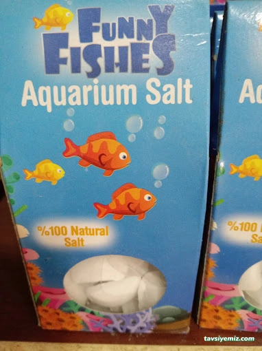 Öncel Akvaryum Petshop Öncel Akvaryum Petshop