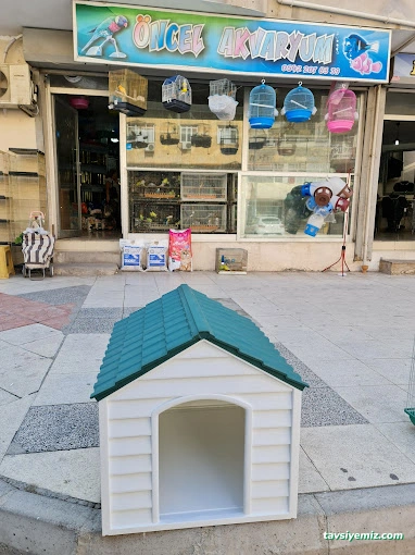 Öncel Akvaryum Petshop Öncel Akvaryum Petshop