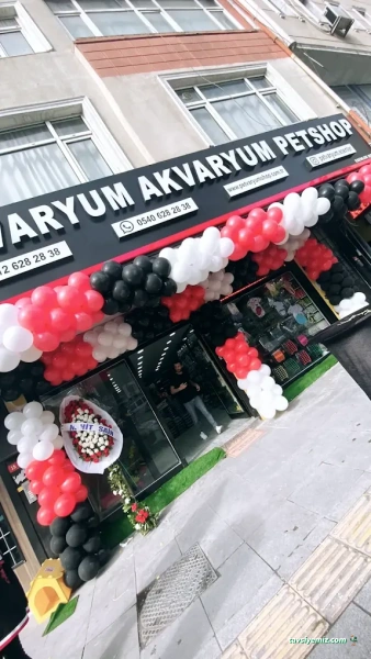 Ordu Davet Evi Ordu Davet Evi