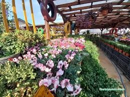 Ordu Sera Botanik Market Ordu Sera Botanik Market