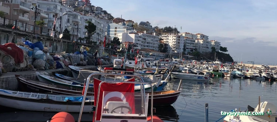 Organizasyon Bursa