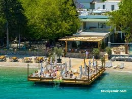 Orkide Restoran