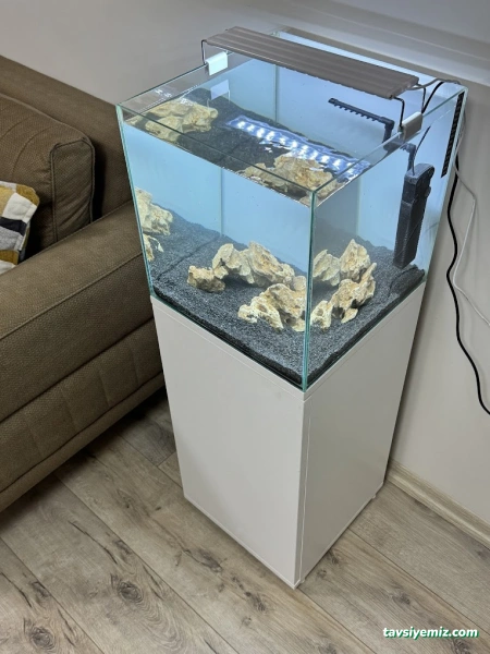 Ortadoğu Akvaryum Ve Pet Shop