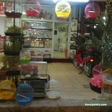 Osmaniye Petshop Pet Love My 328 Pet Shop Osmaniye Petshop Pet Love My 328 Pet Shop