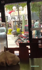 Öykü Dürüm Öykü Dürüm