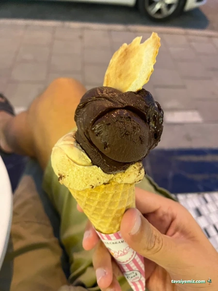 Oyya Gelato Oyya Gelato