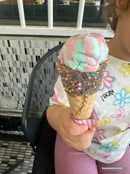 Oyya Gelato Oyya Gelato