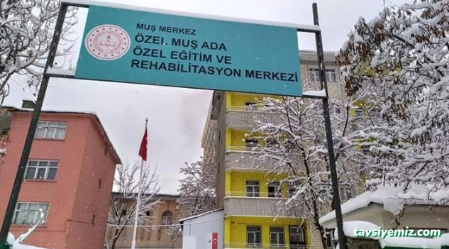 Özel Muş Ada Özel Eğitim Ve Rehabiliasyon Merkezi Özel Muş Ada Özel Eğitim Ve Rehabiliasyon Merkezi