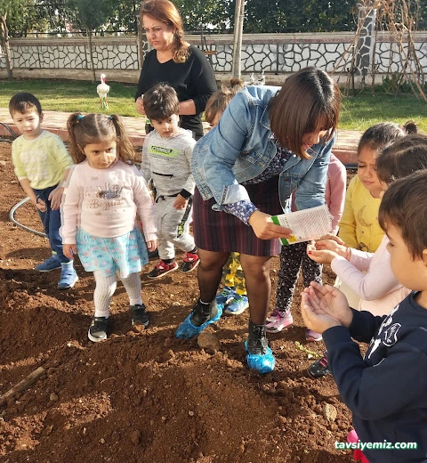 Özel Ögem Çocuk Köyü Anaokulu Özel Ögem Çocuk Köyü Anaokulu