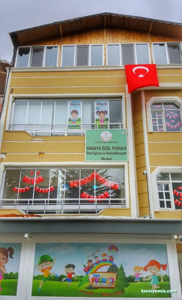 Özel Pusula Özel Eğitim Ve Rehabilitasyon Merkezi Özel Pusula Özel Eğitim Ve Rehabilitasyon Merkezi