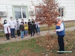 Özel Siirt Nergis Özel Eğitim Ve Rehabilitasyon Merkezi