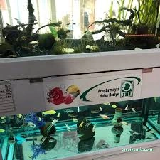 Özgün Petshop