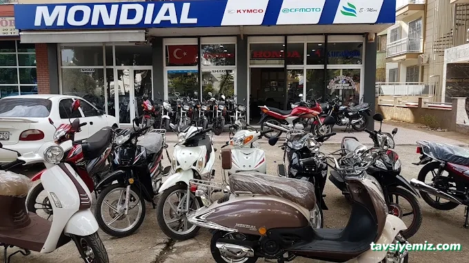 Özkan Motor Özkan Motor