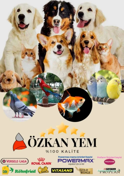 Özkanyempet