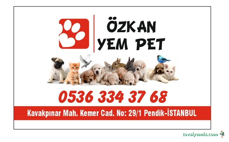 Özkanyempet
