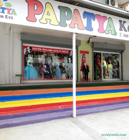 Papatya Kostüm Evi /Batman Papatya Kostüm Evi /Batman