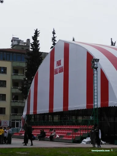 Park Halı Saha