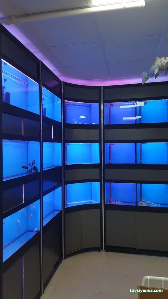Pati Petshop