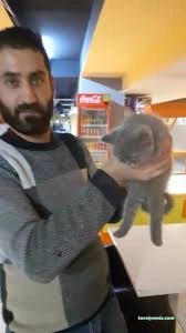 Pati Petshop Pati Petshop