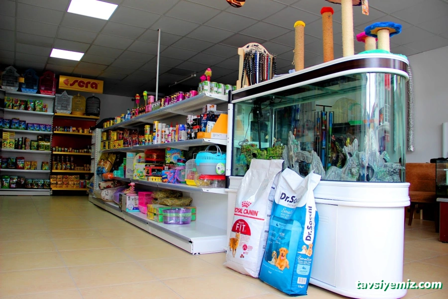 Pati Petshop
