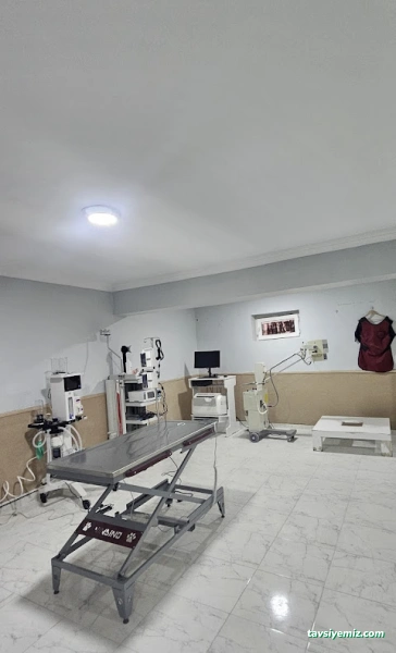 Patika Veteriner Kliniği | Elazığ Veteriner | Elazığ Veteriner Kliniği Patika Veteriner Kliniği | Elazığ Veteriner | Elazığ Veteriner Kliniği
