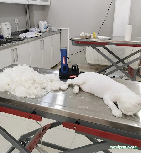 Patipaty Pet Veteriner Kliniği Patipaty Pet Veteriner Kliniği