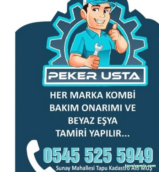Peker Teknik Kombi Servisi Muş Peker Teknik Kombi Servisi Muş