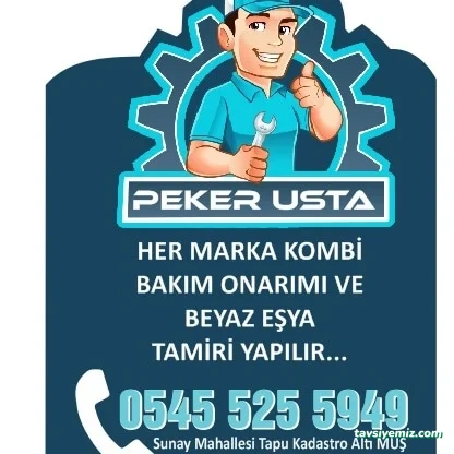 Peker Teknik Kombi Servisi Muş Peker Teknik Kombi Servisi Muş