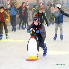 Penbuz Penguen Buz Pisti Ve Eğlence Merkezi Penbuz Penguen Buz Pisti Ve Eğlence Merkezi
