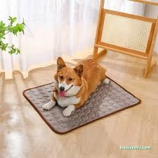 Pet Palace Kedi Köpek Oteli Pet Palace Kedi Köpek Oteli