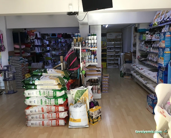 Pet Queen Petshop