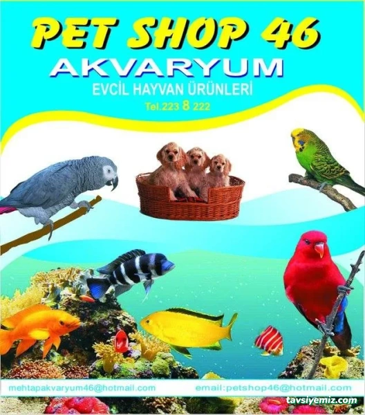 Pet Shop 46 Pet Shop 46