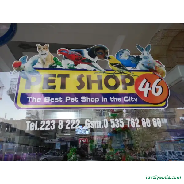 Pet Shop 46 Pet Shop 46