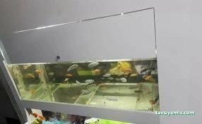 Pet Shop Marketim - Kocaeli Ve İzmit Akvaryum Mağazası Pet Shop Marketim - Kocaeli Ve İzmit Akvaryum Mağazası