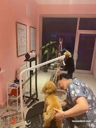 Pet Store 45 Pet Store 45
